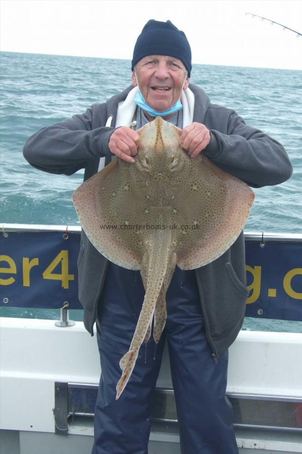 10 lb Blonde Ray by Paddy Studley