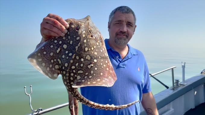 5 lb Thornback Ray by Big russ