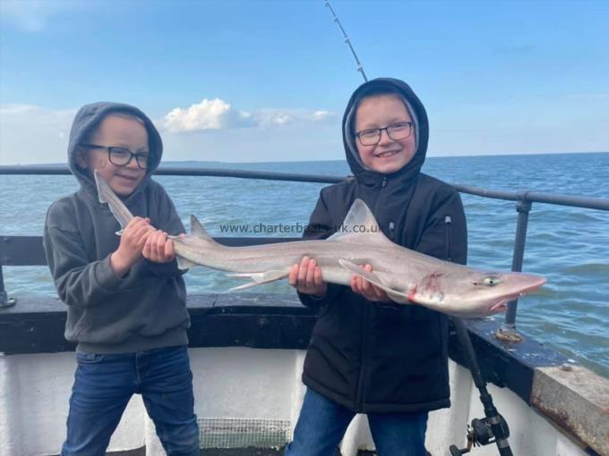7 lb Smooth-hound by Unknown