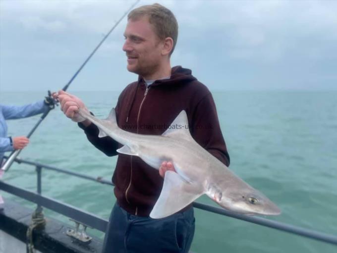 7 lb Smooth-hound by Unknown