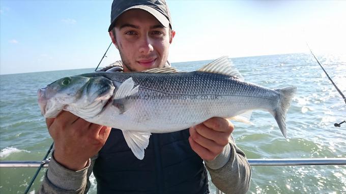 3 lb 1 oz Bass by Dan from Kent