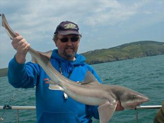 12 lb Smooth-hound (Common) by Paul Whiting