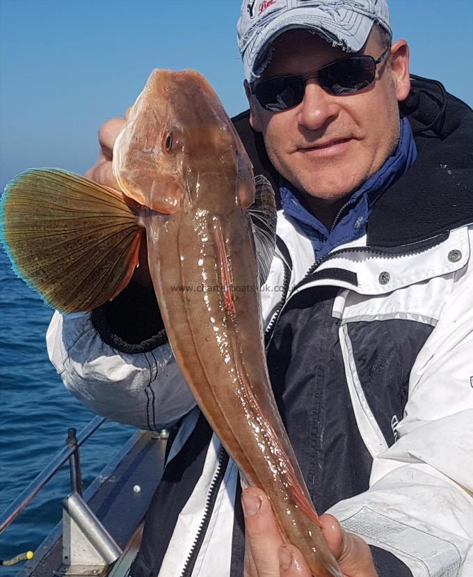 2 lb 9 oz Tub Gurnard by Unknown