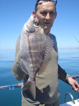 2 lb 8 oz Black Sea Bream by Mareks mate