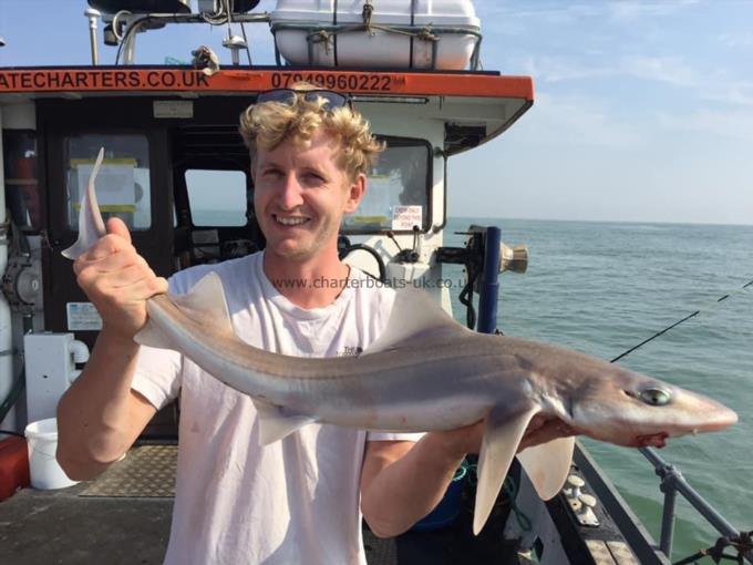 5 lb Smooth-hound by Unknown