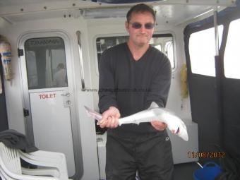 3 lb Smooth-hound by Unknown