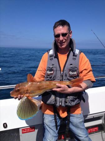 7 lb 10 oz Tub Gurnard by Phil Mathers