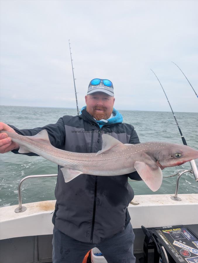 8 lb Smooth-hound by Wayne