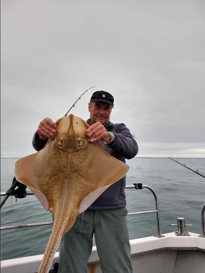 15 lb Blonde Ray by Peter