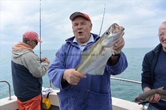 6 lb Pollock by Stephen Wake