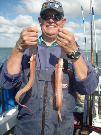 5 oz Red Band Fish by Andy Cleeve