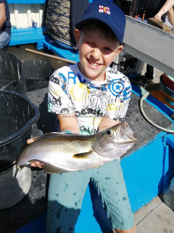 4 lb 8 oz Pollock by Unknown