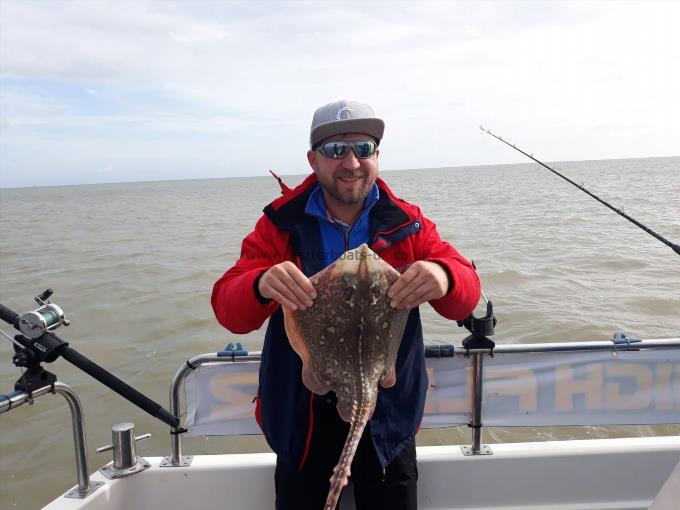 5 lb Thornback Ray by Mario