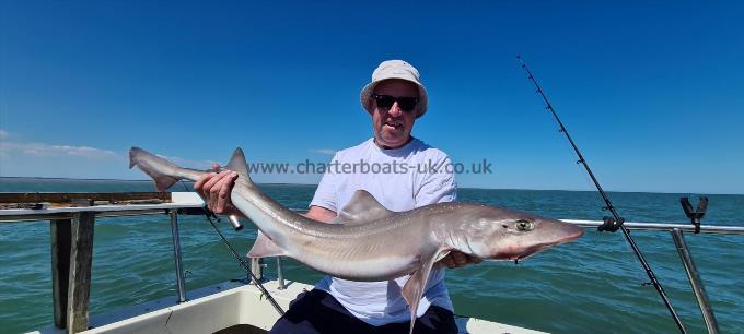 14 lb Starry Smooth-hound by Frank