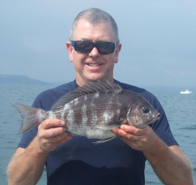 3 lb 12 oz Black Sea Bream by Steve Wells