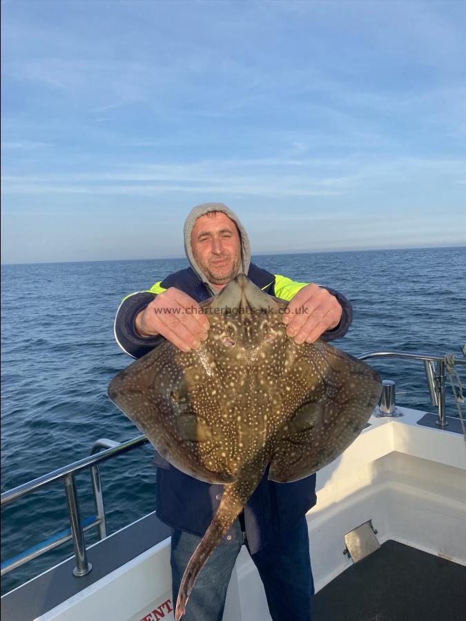 9 lb 8 oz Undulate Ray by Unknown