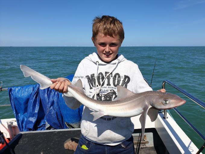 6 lb Starry Smooth-hound by Bob Marshall