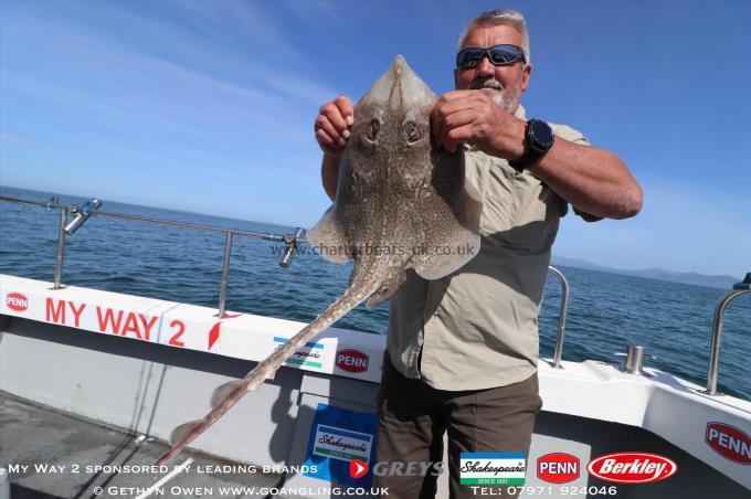 6 lb Thornback Ray by Dave