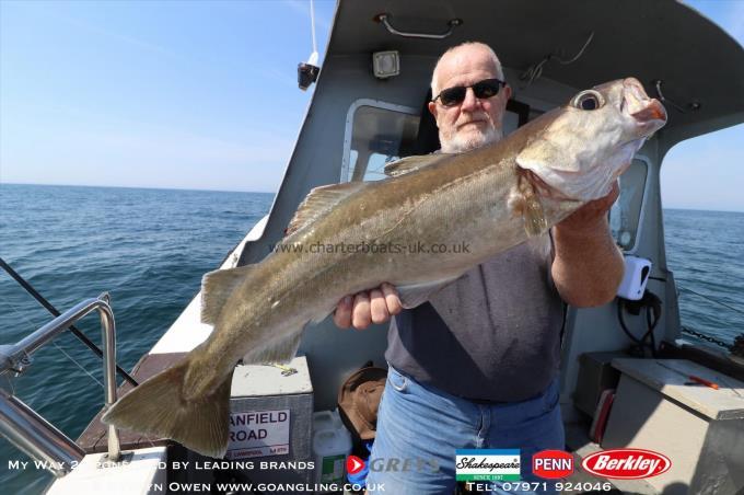 9 lb Pollock by Peter