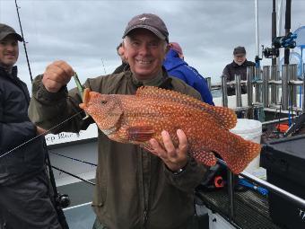 5 lb Ballan Wrasse by Pete Neal