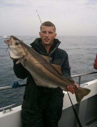 17 lb Pollock by Unknown