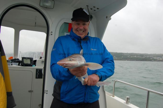 5 lb Smooth-hound by Unknown