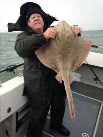 15 lb Undulate Ray by Dave Woolacombe