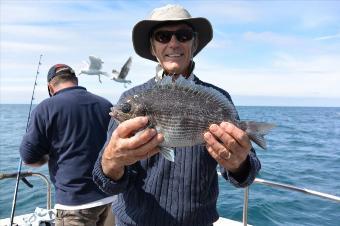 3 lb 8 oz Black Sea Bream by Stephen Wake