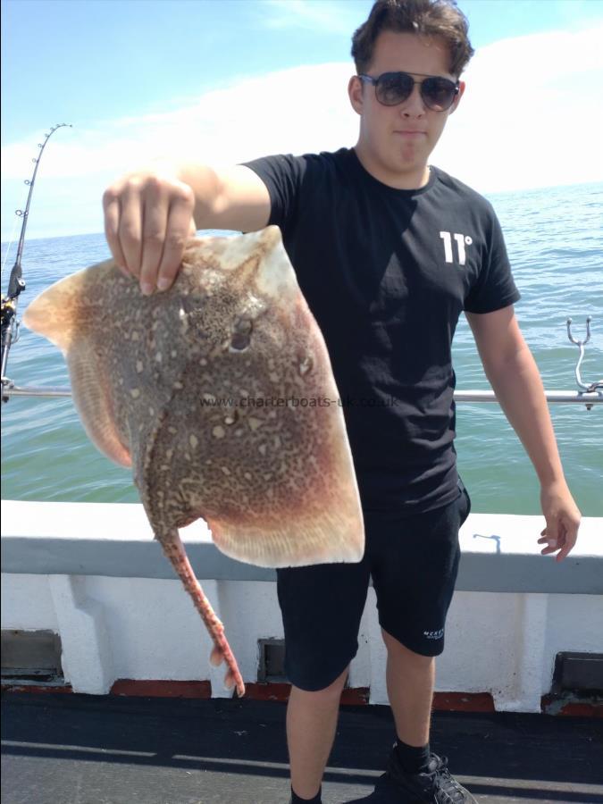 6 lb Thornback Ray by Kevin
