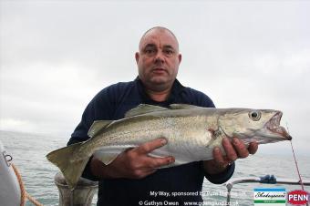 5 lb Pollock by Tony