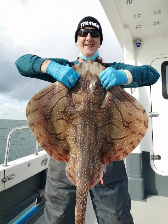 18 lb Undulate Ray by Kieth