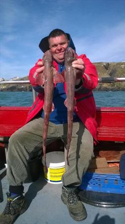 2 lb 8 oz Lesser Spotted Dogfish by essex steve