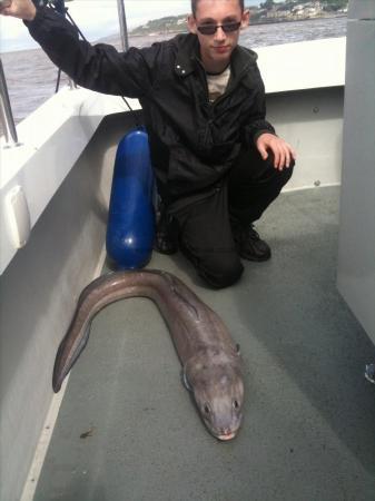 35 lb 6 oz Conger Eel by Mathew Harris