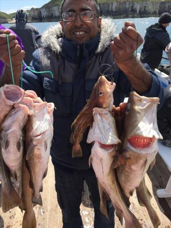 8 lb Cod by kammy with his cods 7th june 2015