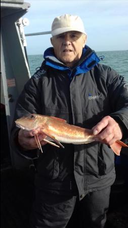 2 lb 1 oz Tub Gurnard by Ron