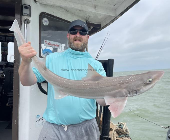 9 lb Smooth-hound by Unknown