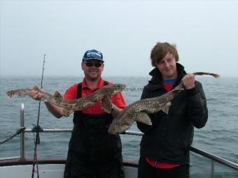 10 lb Bull Huss by Unknown
