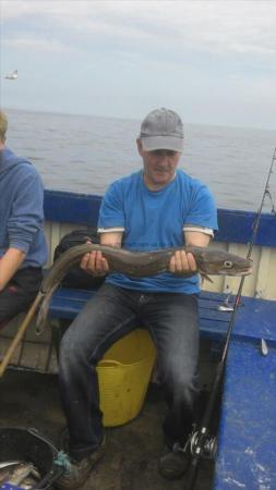 7 lb Cod by Dave Jones