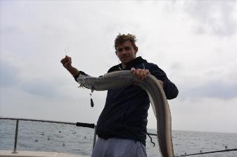 18 lb Conger Eel by Stephen Wake