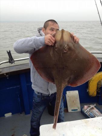 23 lb Blonde Ray by Unknown