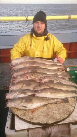 6 lb Cod by nicky(whitby)