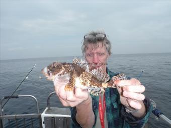 10 oz Short-spined Sea Scorpion by Bernie from Oldham