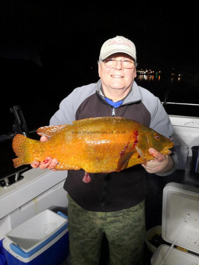 8 lb Ballan Wrasse by Barry