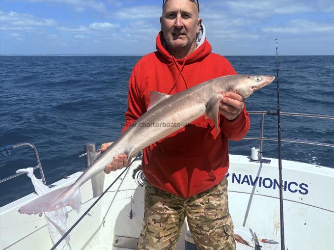 13 lb 4 oz Spurdog by Darren Gilbert