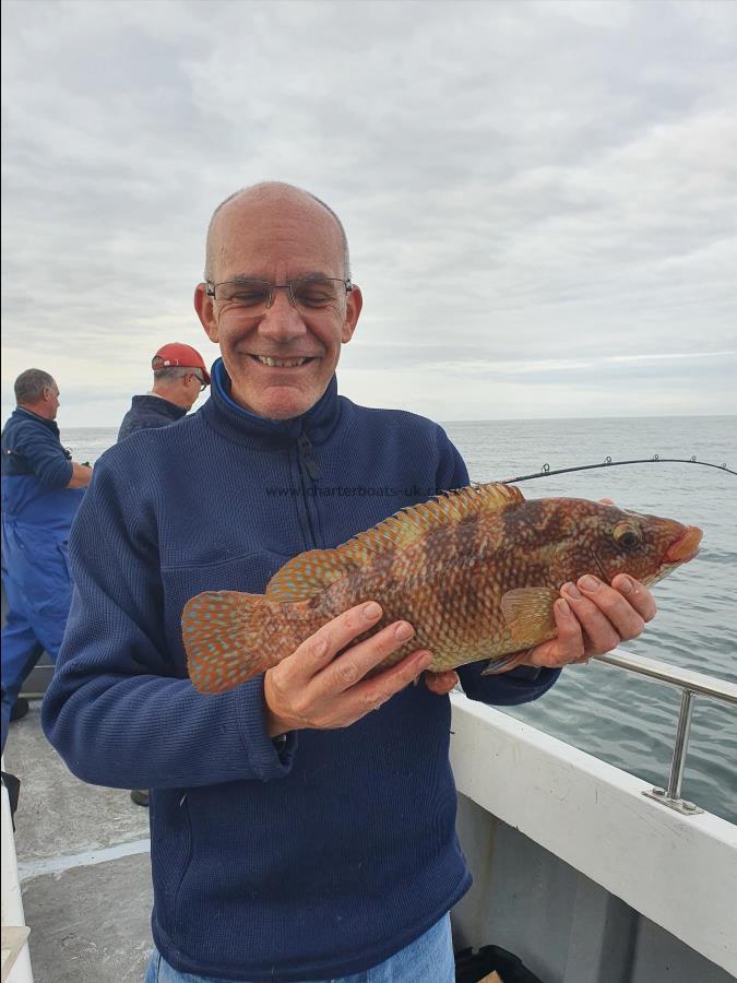 4 lb Ballan Wrasse by Robert Lee