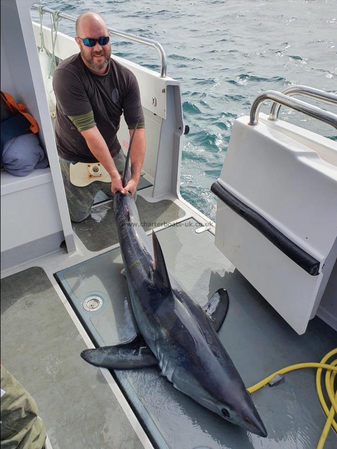 125 lb Porbeagle by Unknown