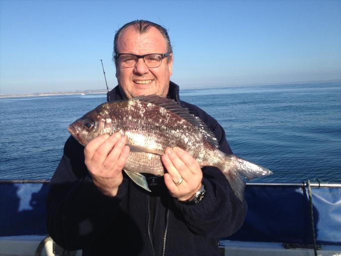 3 lb 2 oz Black Sea Bream by John