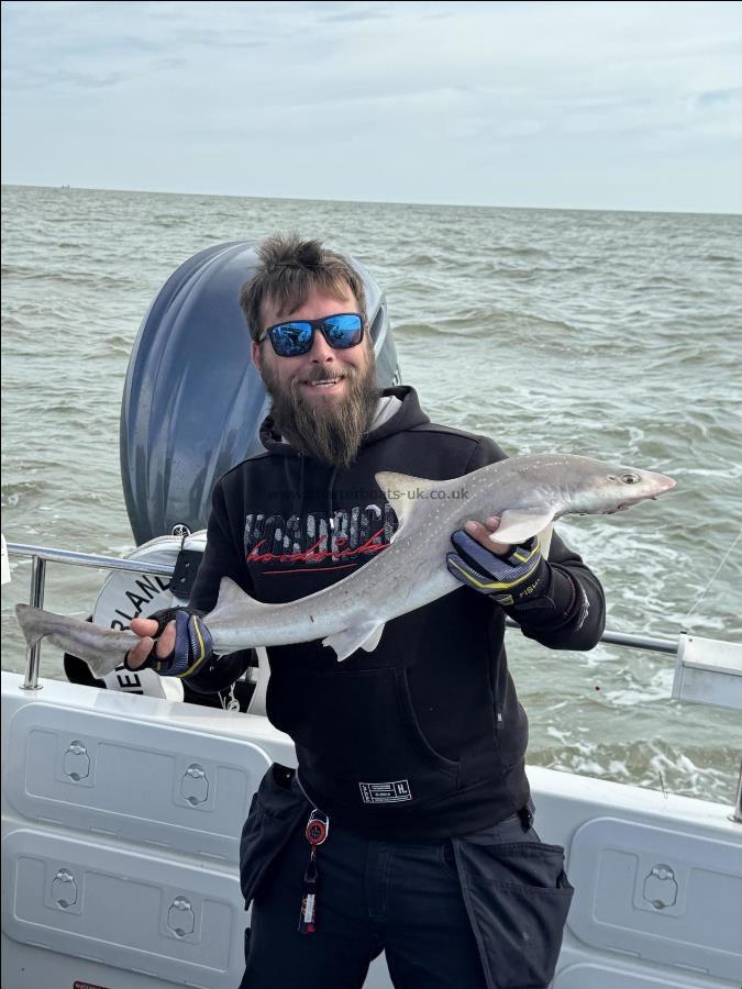 9 lb Starry Smooth-hound by Aaron