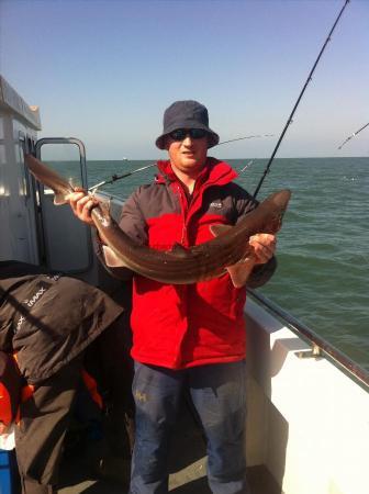 11 lb 7 oz Spurdog by andy