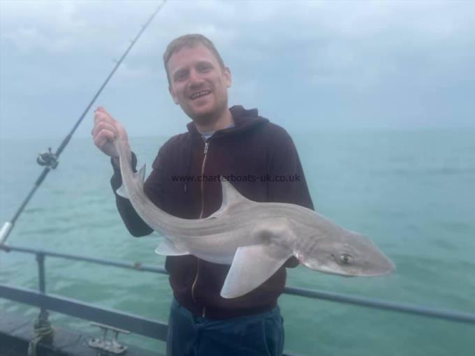 8 lb Smooth-hound by Unknown